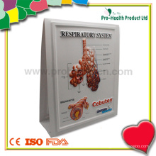 Urinary Tract Plastic Education Medical 3D Poster